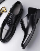 Black / 6