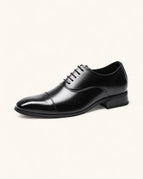 Black / 6