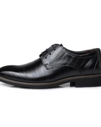 Black / 6