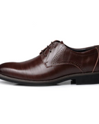 Dark Brown / 6