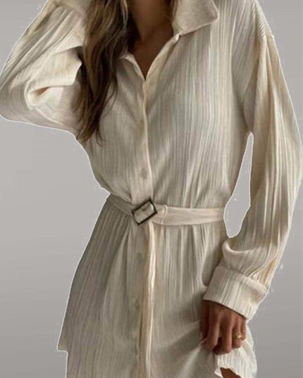 Nova | Pleated Mini Shirt Dress