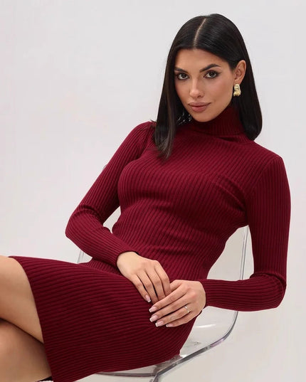 Lyra Ribbed Knit Slim | Sweater Dress