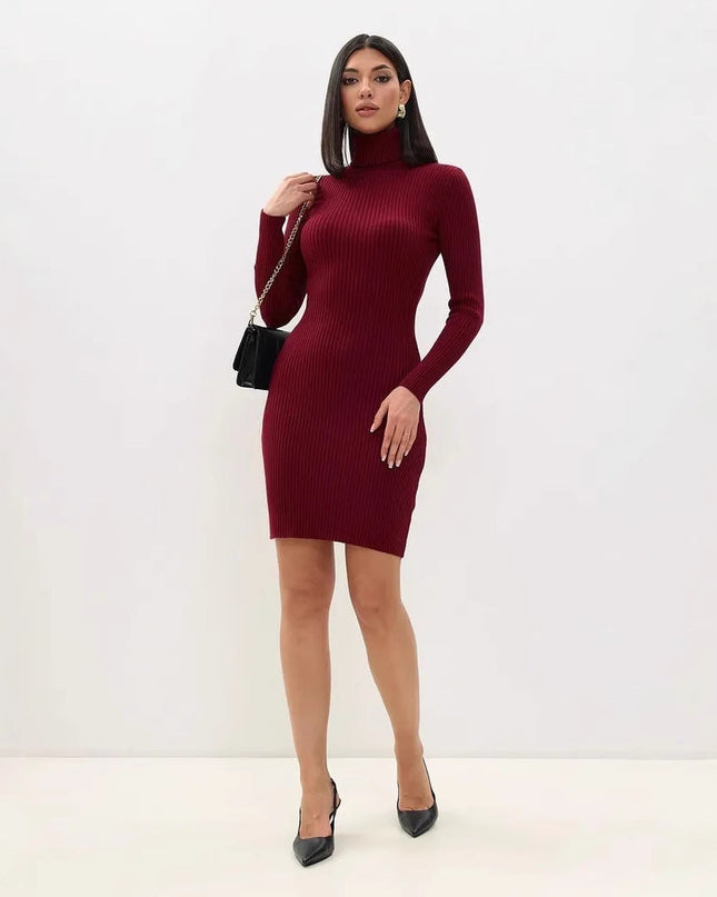 Lyra Ribbed Knit Slim | Sweater Dress