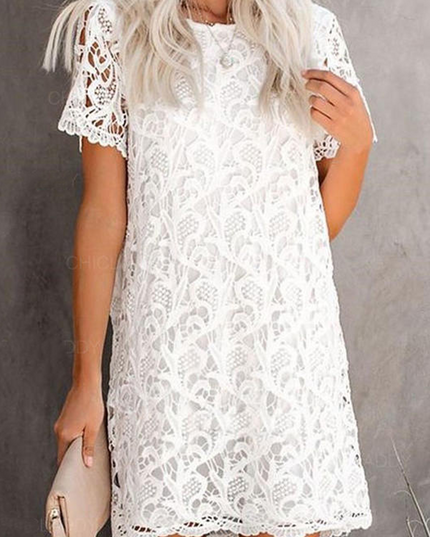 Nova | Lace Dress - Sheath Knee-Length